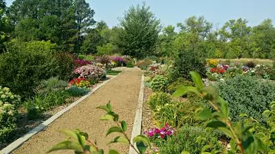 Plants and Flowers at Dickinson Research Extension Center
