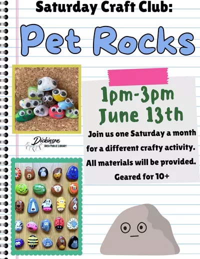 pet rocks