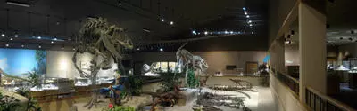 Main exhibit hall