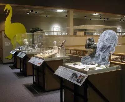 Dinosaur Exhibits