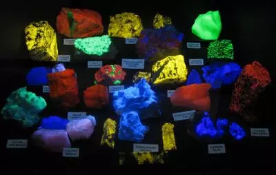 Dinosaur Exhibits