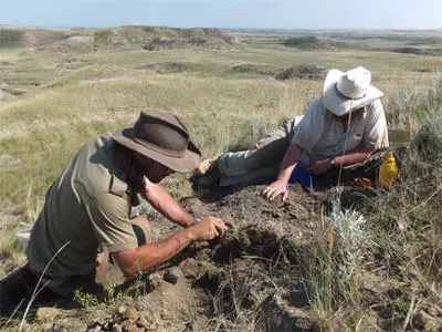Fieldwork