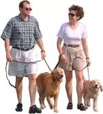 Dog Walk