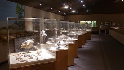 Exhibit at Dickinson Museum Center