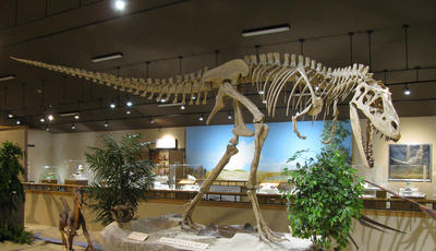 Albertosaurus