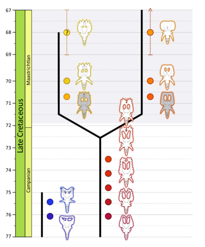 Phylogeny