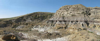 The new specimen was found in the ~77 million year old Judith River Formation of eastern Montana