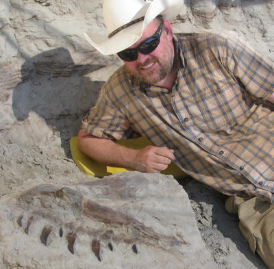 25ft (8m) of rock had to be removed from over the top of the skeleton.
