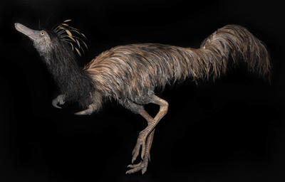 This life-size model of Trierarchuncus prairiensis was sculpted by Boban Filipovic and is on display at Badlands Dinosaur Museum, Dickinson, ND.