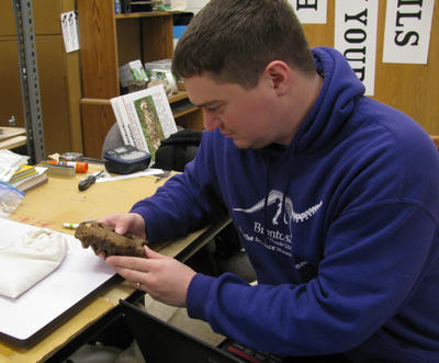 Matt Illies examines the injured tail bones