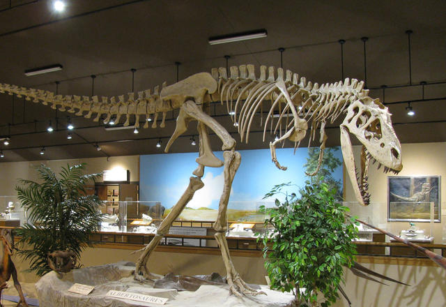 Badlands Dinosaur Museum exhibit at Dickinson Museum Center