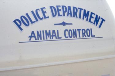 ACO Van