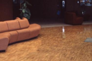 LEC Lobby 1982