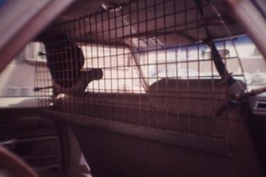 Backseat of 1976 Ford LTF