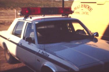 1985 Dodge Diplomat