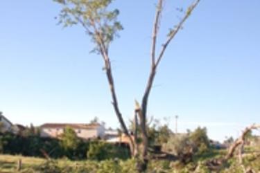 Tornado Aftermath