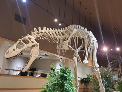 Dino Exhibit at Badlands Dinosaur Museum