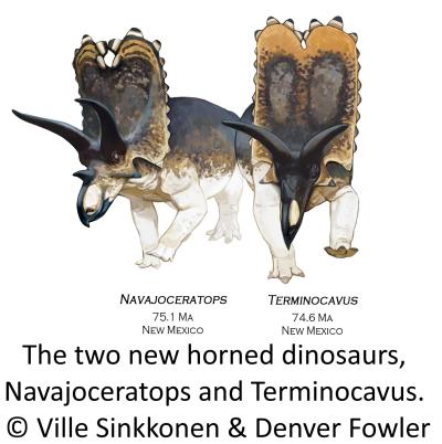 The two new horned dinosaurs, Navajoceratops and Terminocavus. © Ville Sinkkonen & Denver Fowler