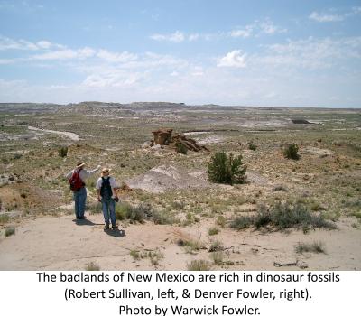 The badlands of New Mexico are rich in dinosaur fossils (Robert Sullivan, left, & Denver Fowler, right). Photo by Warwick Fowler.