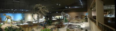 Dinosaur Exhibits
