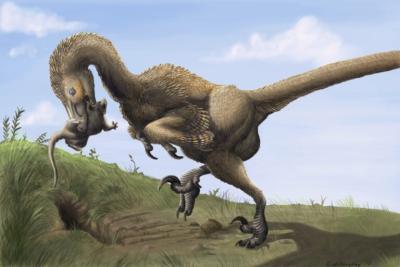 Life reconstruction of the raptor dinosaur Saurornitholestes, by Emily Willoughby CCBY3.0