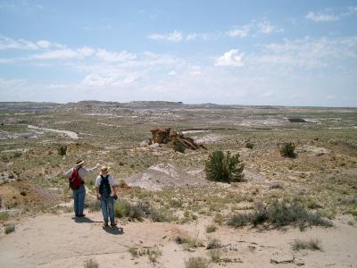 The badlands of New Mexico are rich in dinosaur fossils (Robert Sullivan, left, & Denver Fowler, right). Photo by Warwick Fowler.