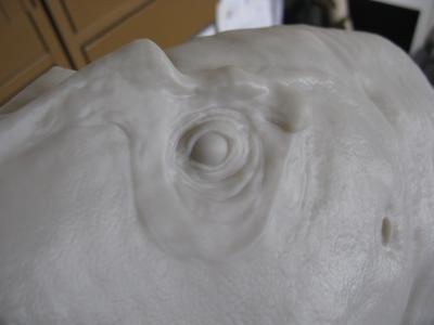 Macro closeup of eye detail on Large 40cm bust. No flash.