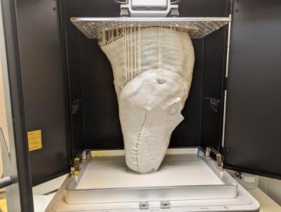 Large 40cm bust being printed.