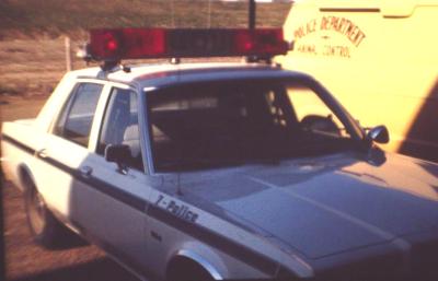 1985 Dodge Diplomat