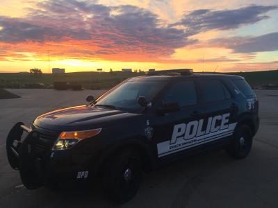 2015 Ford Police Interceptor Utility