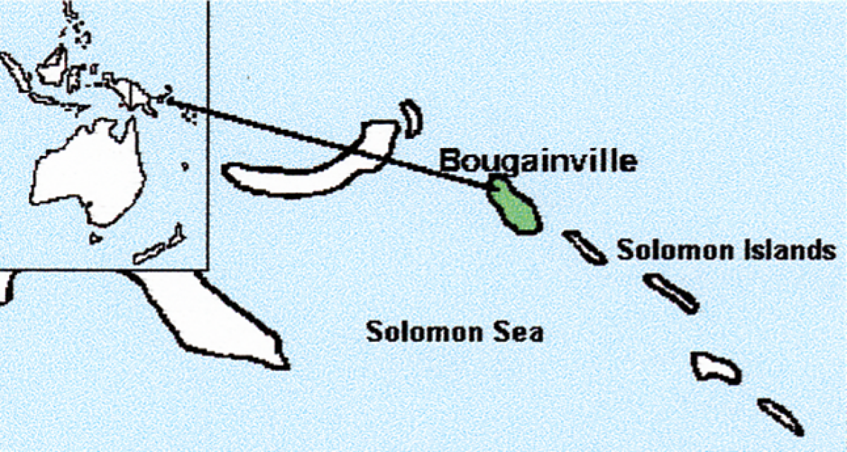 bougainville