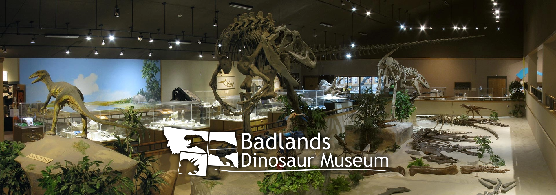 Badlands Dinosaur Museum