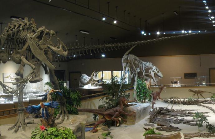 Dinosaur Exhibits
